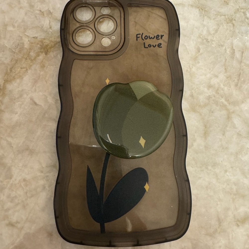 NWT iPhone Pro Max case